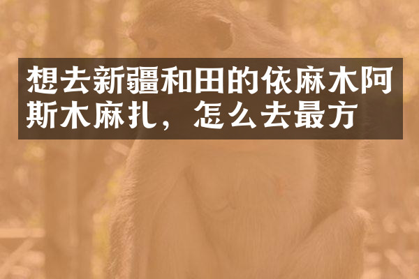 想去新疆和田的依麻木阿斯木麻扎，怎么去最方便
