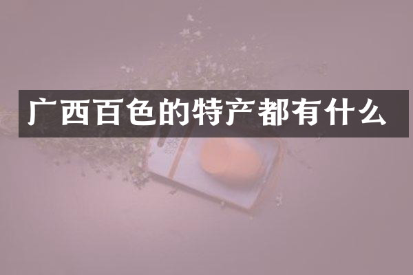 广西百色的特产都有什么