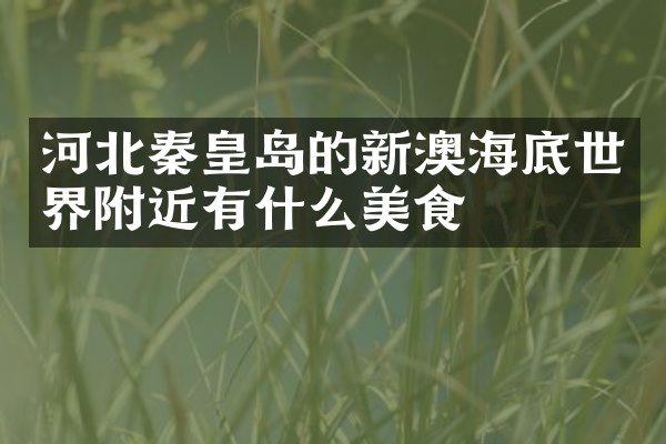 河北秦皇岛的新澳海底世界附近有什么美食