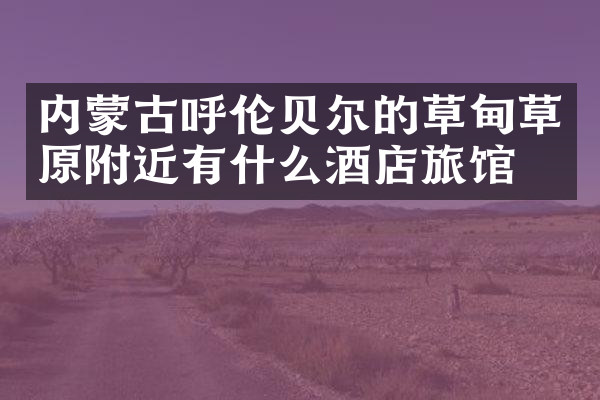 内蒙古呼伦贝尔的草甸草原附近有什么酒店旅馆吗