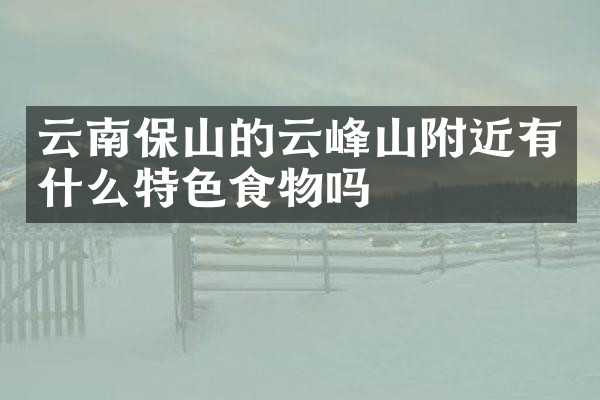 云南保山的云峰山附近有什么特色食物吗