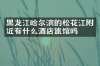 黑龙江哈尔滨的松花江附近有什么酒店旅馆吗
