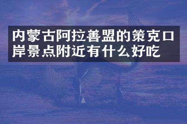 内蒙古阿拉善盟的策克口岸景点附近有什么好吃的