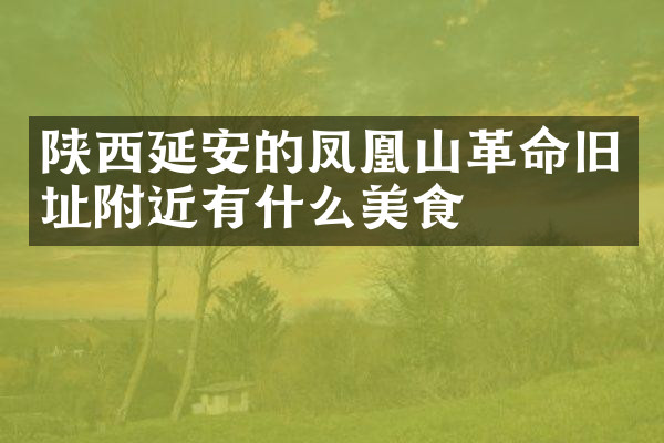 陕西延安的凤凰山革命旧址附近有什么美食