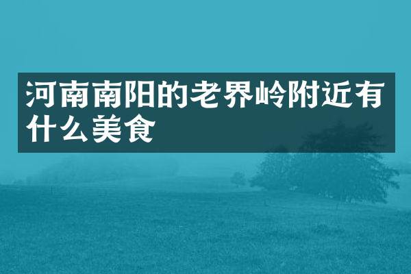 河南南阳的老界岭附近有什么美食