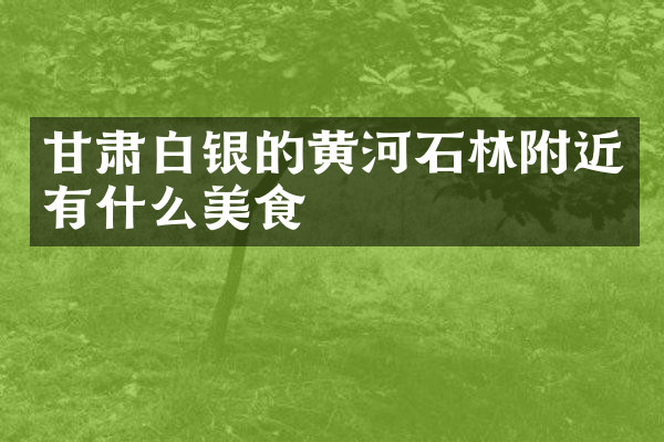 甘肃白银的黄河石林附近有什么美食