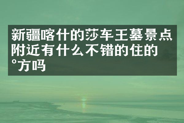 新疆喀什的莎车王墓景点附近有什么不错的住的地方吗