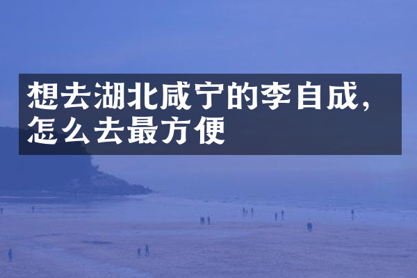 想去湖北咸宁的李自成，怎么去最方便