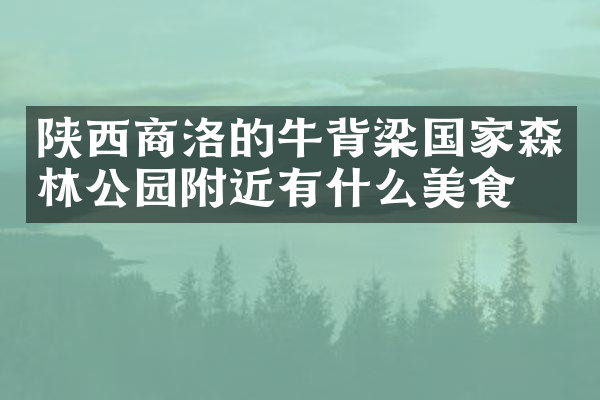 陕西商洛的牛背梁国家森林公园附近有什么美食