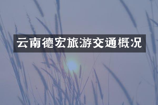 云南德宏旅游交通概况