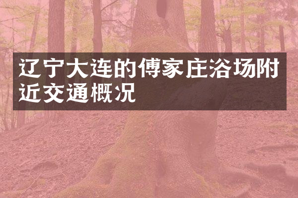 辽宁大连的傅家庄浴场附近交通概况