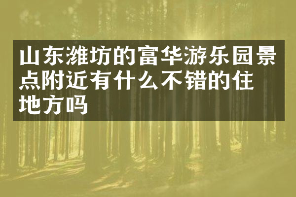 山东潍坊的富华游乐园景点附近有什么不错的住的地方吗