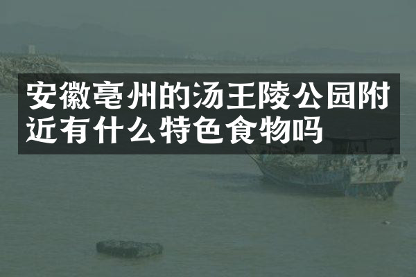 安徽亳州的汤王陵公园附近有什么特色食物吗