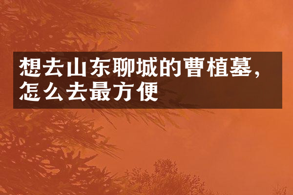 想去山东聊城的曹植墓，怎么去最方便