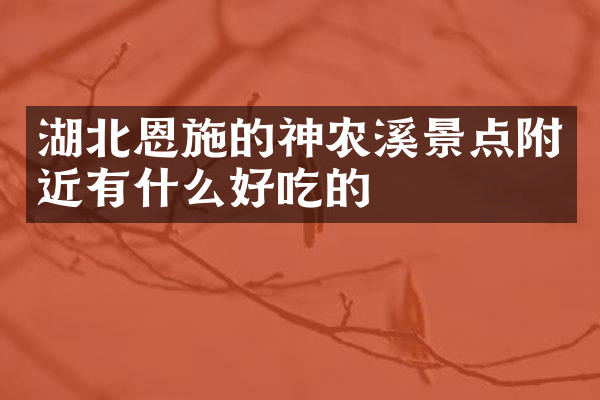 湖北恩施的神农溪景点附近有什么好吃的