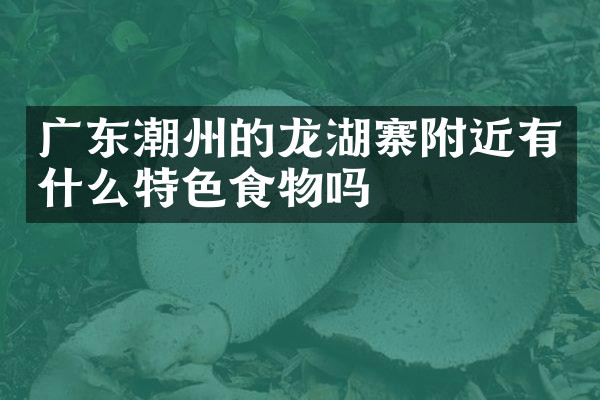 广东潮州的龙湖寨附近有什么特色食物吗