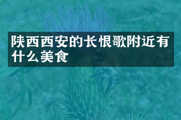 陕西西安的长恨歌附近有什么美食