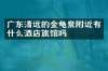 广东清远的金龟泉附近有什么酒店旅馆吗