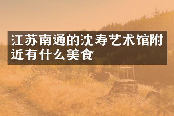 江苏南通的沈寿艺术馆附近有什么美食