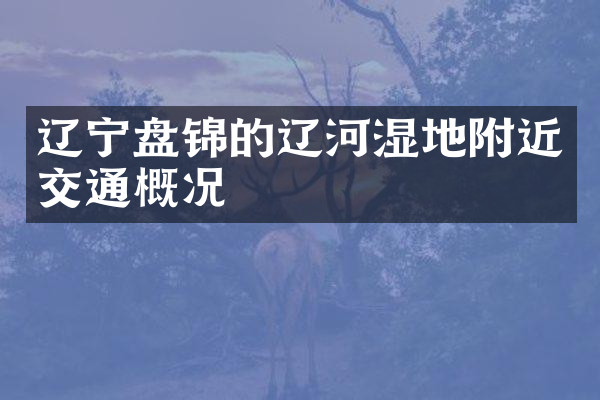 辽宁盘锦的辽河湿地附近交通概况