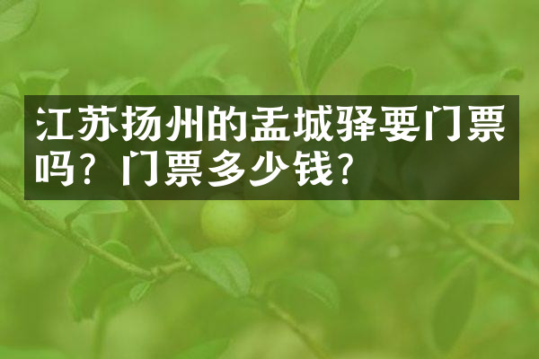 江苏扬州的盂城驿要门票吗？门票多少钱？