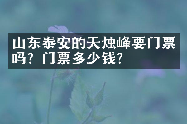山东泰安的天烛峰要门票吗？门票多少钱？