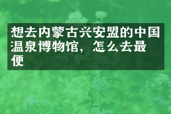 想去内蒙古兴安盟的中国温泉博物馆，怎么去最方便