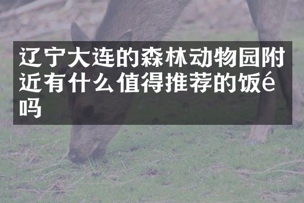 辽宁大连的森林动物园附近有什么值得推荐的饭馆吗