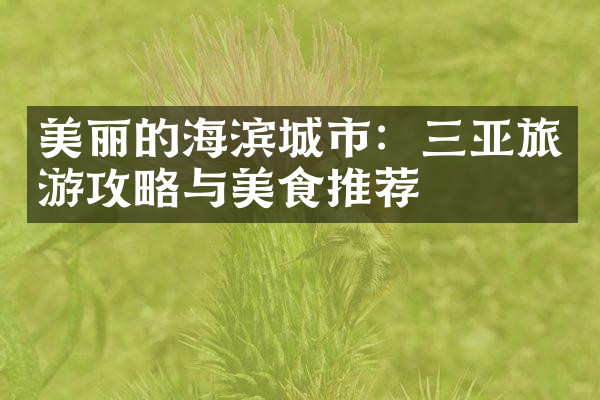 美丽的海滨城市：三亚旅游攻略与美食推荐