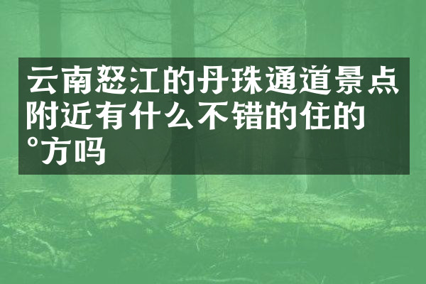云南怒江的丹珠通道景点附近有什么不错的住的地方吗