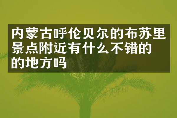 内蒙古呼伦贝尔的布苏里景点附近有什么不错的住的地方吗