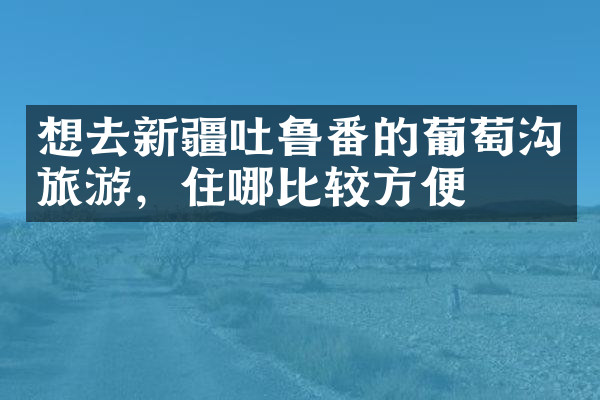 想去新疆吐鲁番的葡萄沟旅游，住哪比较方便