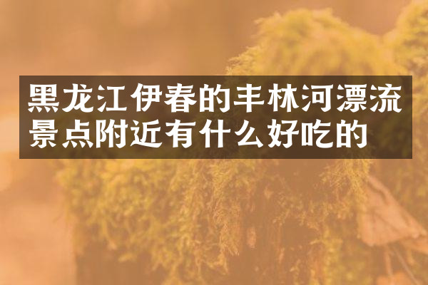 黑龙江伊春的丰林河漂流景点附近有什么好吃的