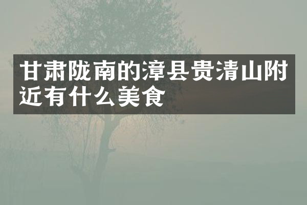甘肃陇南的漳县贵清山附近有什么美食