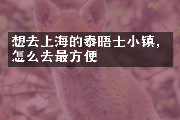 想去上海的泰晤士小镇，怎么去最方便