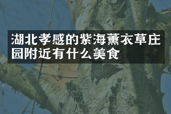 湖北孝感的紫海薰衣草庄园附近有什么美食
