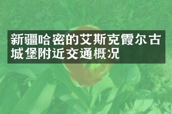 新疆哈密的艾斯克霞尔古城堡附近交通概况