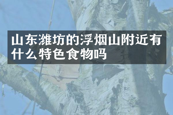 山东潍坊的浮烟山附近有什么特色食物吗