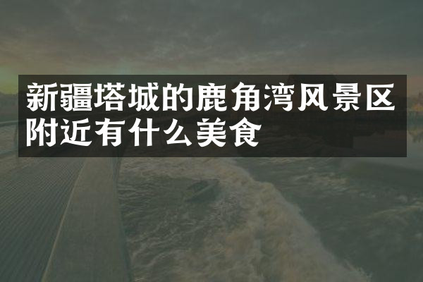新疆塔城的鹿角湾风景区附近有什么美食