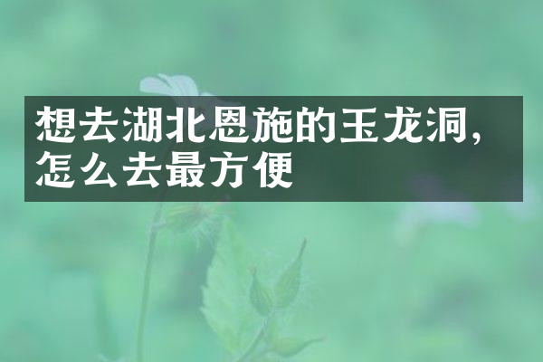 想去湖北恩施的玉龙洞，怎么去最方便