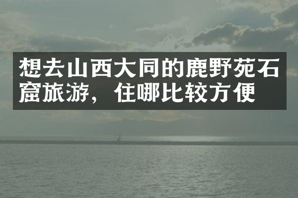 想去山西大同的鹿野苑石窟旅游，住哪比较方便