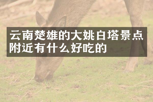 云南楚雄的大姚白塔景点附近有什么好吃的