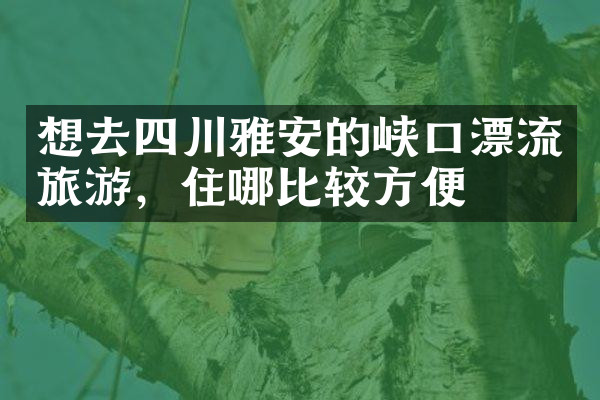 想去四川雅安的峡口漂流旅游，住哪比较方便