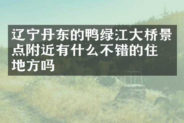 辽宁丹东的鸭绿江大桥景点附近有什么不错的住的地方吗