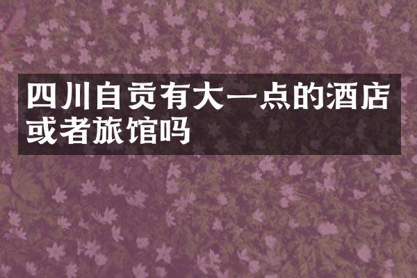 四川自贡有大一点的酒店或者旅馆吗