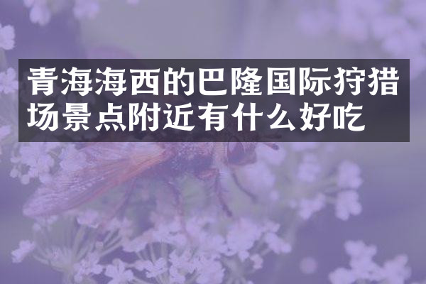 青海海西的巴隆国际狩猎场景点附近有什么好吃的