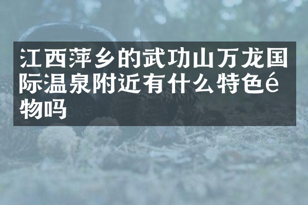 江西萍乡的武功山万龙国际温泉附近有什么特色食物吗