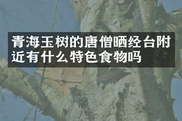 青海玉树的唐僧晒经台附近有什么特色食物吗