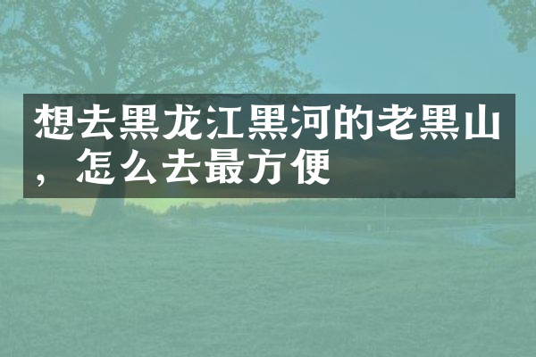 想去黑龙江黑河的老黑山，怎么去最方便