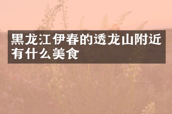 黑龙江伊春的透龙山附近有什么美食